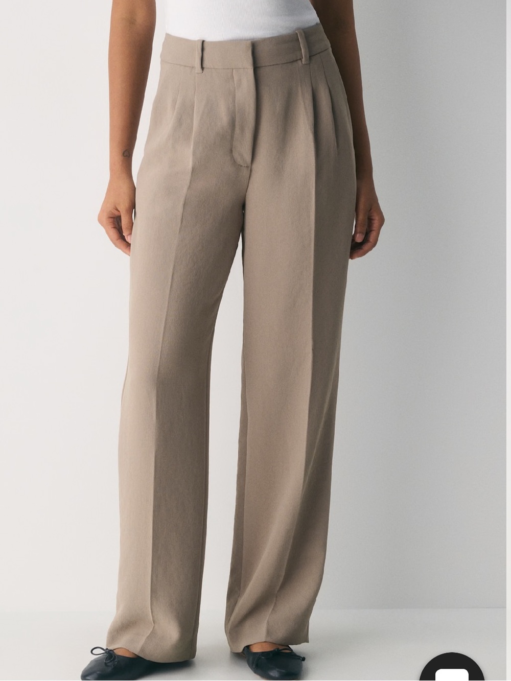 Aritzia Wide-Leg High-Rise Pants in Taupe